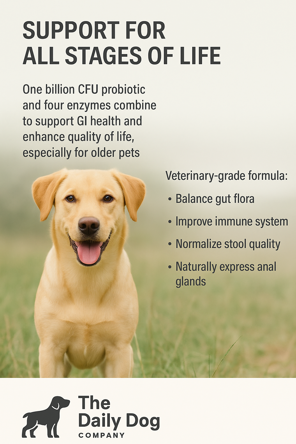 Probiotics & Enzymes for Dogs - 60 ct